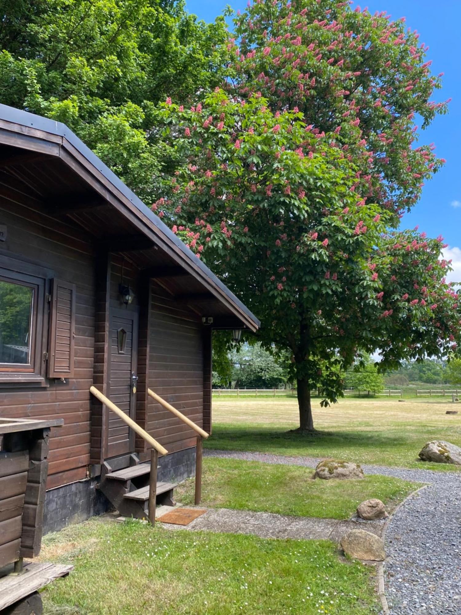 Heidegut Eschede Reitsportanlage Und Feriendorf Exterior foto